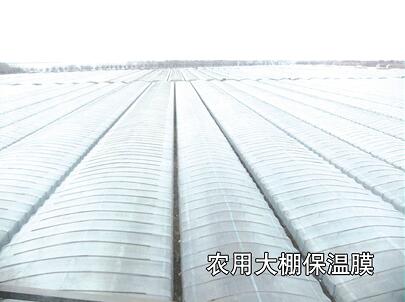母料在吹膜-工業(yè)、農(nóng)業(yè)、包裝中的運用
